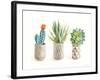 Desert Greenhouse VIII-Danhui Nai-Framed Art Print