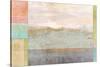 Desert Grid-Suzanne Nicoll-Stretched Canvas