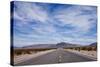 Desert Highway in Nevada-Paul Souders-Stretched Canvas