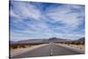 Desert Highway in Nevada-Paul Souders-Stretched Canvas