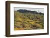 Desert Hill Covered in Scrub Plants-DLILLC-Framed Photographic Print