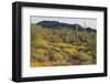 Desert Hill Covered in Scrub Plants-DLILLC-Framed Photographic Print