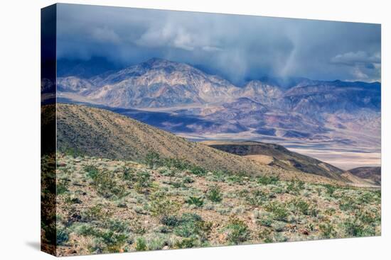 Desert Hills and Spring Storm, Death Valley-null-Stretched Canvas