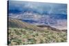 Desert Hills and Spring Storm, Death Valley-null-Stretched Canvas