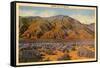 Desert Hills of Nevada-null-Framed Stretched Canvas