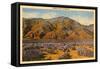 Desert Hills of Nevada-null-Framed Stretched Canvas