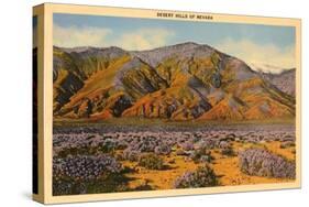 Desert Hills of Nevada-null-Stretched Canvas