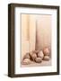 Desert Home - Antique Jars-Philippe HUGONNARD-Framed Photographic Print