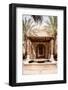 Desert Home - Between Two Palm Trees-Philippe HUGONNARD-Framed Photographic Print