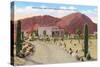 Desert Home, Camelback Mountain, Phoenix, Arizona-null-Stretched Canvas