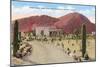 Desert Home, Camelback Mountain, Phoenix, Arizona-null-Mounted Art Print
