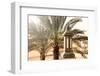 Desert Home - Lantern-Philippe HUGONNARD-Framed Photographic Print