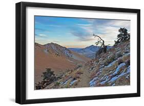 Desert II-Brian Kidd-Framed Photographic Print