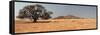 Desert in Namibia-dirkr-Framed Stretched Canvas