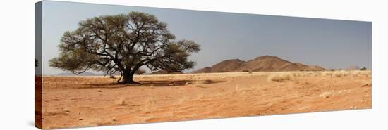 Desert in Namibia-dirkr-Stretched Canvas