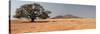 Desert in Namibia-dirkr-Stretched Canvas