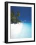 Desert Island, Baa Atoll, the Maldives, Indian Ocean, Asia-Sakis Papadopoulos-Framed Photographic Print