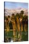 Desert Island Golf and Country Club, Palm Springs, California, USA-Richard Duval-Stretched Canvas