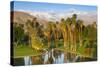 Desert Island Golf and Country Club, Palm Springs, California, USA-Richard Duval-Stretched Canvas