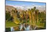 Desert Island Golf and Country Club, Palm Springs, California, USA-Richard Duval-Mounted Photographic Print