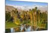 Desert Island Golf and Country Club, Palm Springs, California, USA-Richard Duval-Mounted Photographic Print