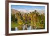 Desert Island Golf and Country Club, Palm Springs, California, USA-Richard Duval-Framed Photographic Print