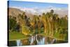 Desert Island Golf and Country Club, Palm Springs, California, USA-Richard Duval-Stretched Canvas