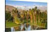 Desert Island Golf and Country Club, Palm Springs, California, USA-Richard Duval-Stretched Canvas