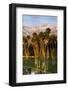 Desert Island Golf and Country Club, Palm Springs, California, USA-Richard Duval-Framed Photographic Print