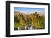 Desert Island Golf and Country Club, Palm Springs, California, USA-Richard Duval-Framed Photographic Print