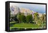 Desert Island Golf and Country Club, Rancho Mirage, California, USA-Richard Duval-Framed Stretched Canvas