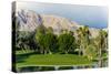 Desert Island Golf and Country Club, Rancho Mirage, California, USA-Richard Duval-Stretched Canvas