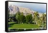 Desert Island Golf and Country Club, Rancho Mirage, California, USA-Richard Duval-Framed Stretched Canvas