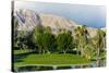 Desert Island Golf and Country Club, Rancho Mirage, California, USA-Richard Duval-Stretched Canvas