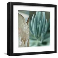 Desert Jewels I-Sidney Aver-Framed Art Print