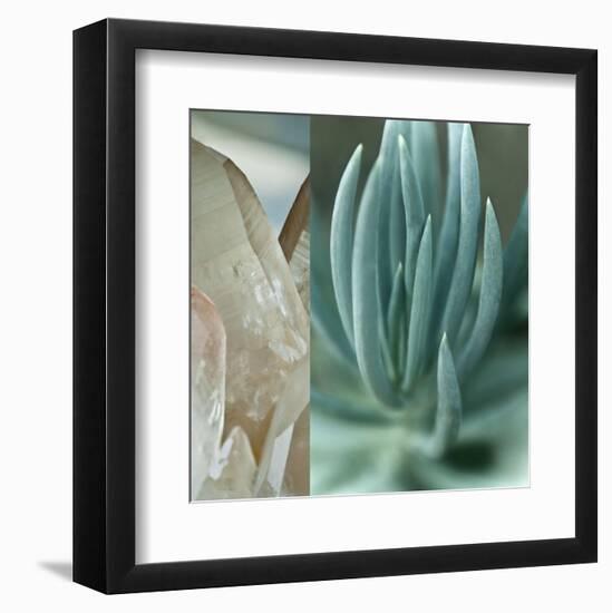 Desert Jewels I-Sidney Aver-Framed Art Print