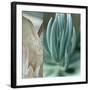 Desert Jewels I-Sidney Aver-Framed Art Print