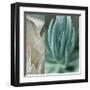 Desert Jewels I-Sidney Aver-Framed Giclee Print