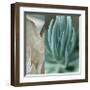 Desert Jewels I-Sidney Aver-Framed Giclee Print