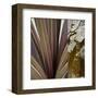 Desert Jewels II-Sidney Aver-Framed Art Print