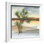 Desert Joshua Tree-Chris Paschke-Framed Art Print