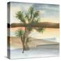 Desert Joshua Tree-Chris Paschke-Stretched Canvas