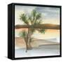 Desert Joshua Tree-Chris Paschke-Framed Stretched Canvas