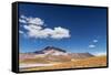 Desert Lagoon, San Pedro De Atacama, Antofagasta Region, Chile-Daniele Falletta-Framed Stretched Canvas