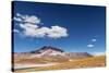 Desert Lagoon, San Pedro De Atacama, Antofagasta Region, Chile-Daniele Falletta-Stretched Canvas