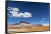 Desert Lagoon, San Pedro De Atacama, Antofagasta Region, Chile-Daniele Falletta-Framed Stretched Canvas