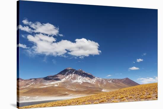 Desert Lagoon, San Pedro De Atacama, Antofagasta Region, Chile-Daniele Falletta-Stretched Canvas