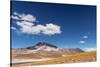 Desert Lagoon, San Pedro De Atacama, Antofagasta Region, Chile-Daniele Falletta-Stretched Canvas