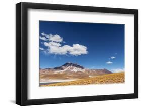 Desert Lagoon, San Pedro De Atacama, Antofagasta Region, Chile-Daniele Falletta-Framed Photographic Print