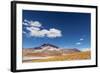 Desert Lagoon, San Pedro De Atacama, Antofagasta Region, Chile-Daniele Falletta-Framed Photographic Print